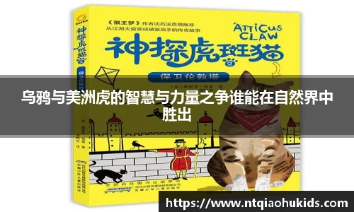 w66国际利来